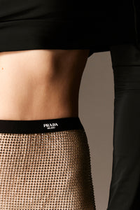 crystal-embellished skirt