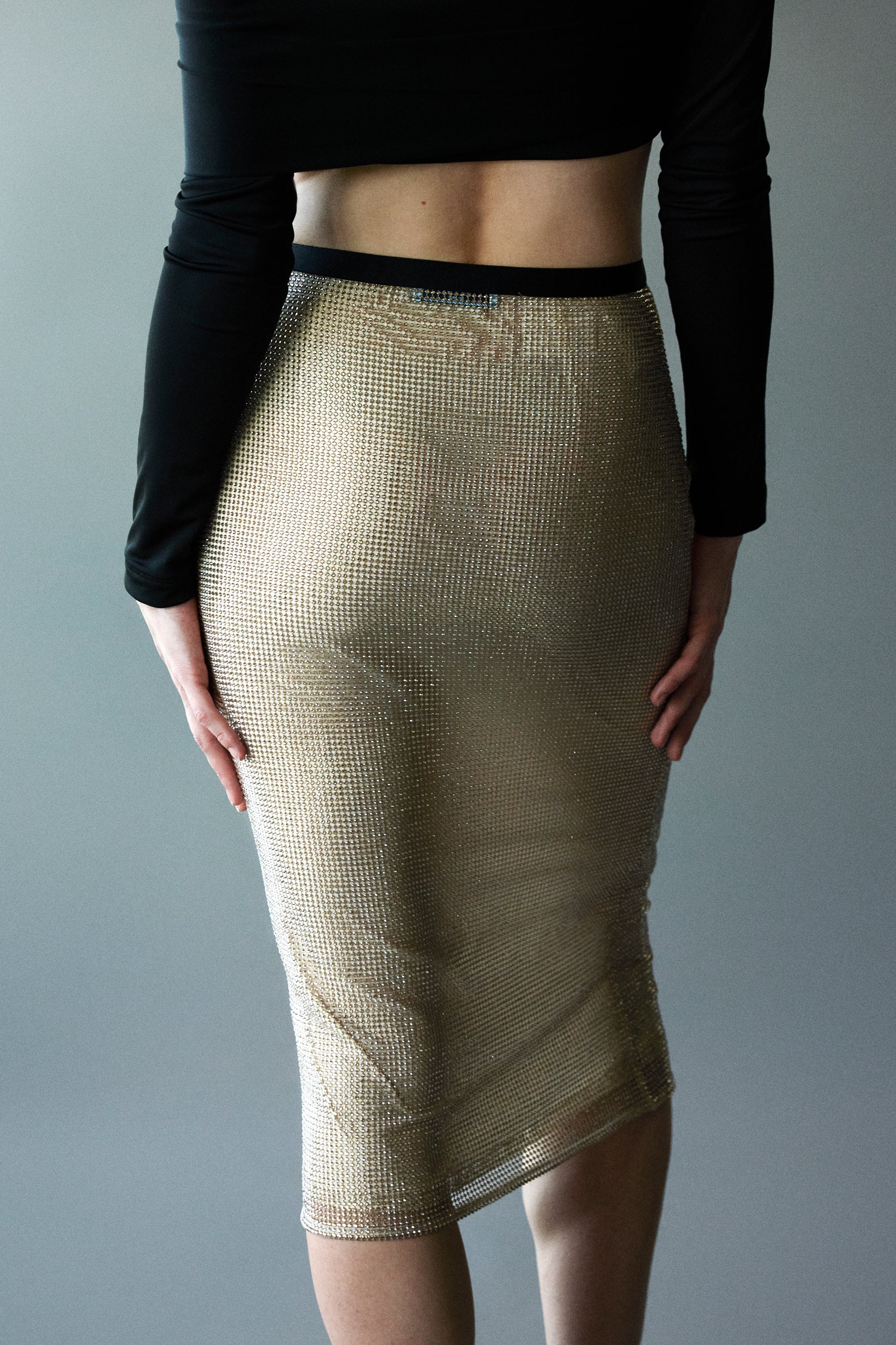 crystal-embellished skirt